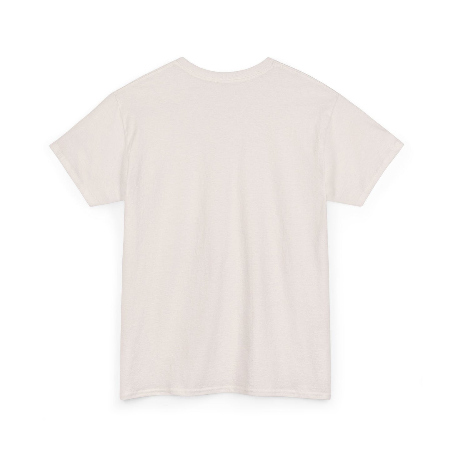 Ask me about my Butthole UFO Tee