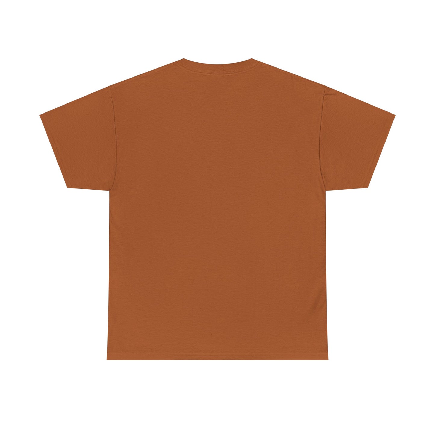 Ask me about my Butthole UFO Tee
